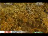人与自然 人与自然 2010年 第100期