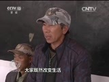 焦点访谈 《焦点访谈》 20161220 乡土中国农村系列调查：老张的致富经