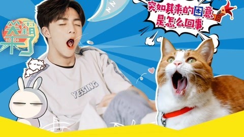 笑霸来了欢畅版 困意来袭的捧腹时刻