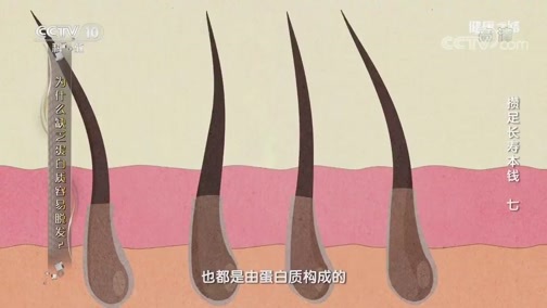 健康之路 《健康之路》 20191020 攒足长寿本钱（七）