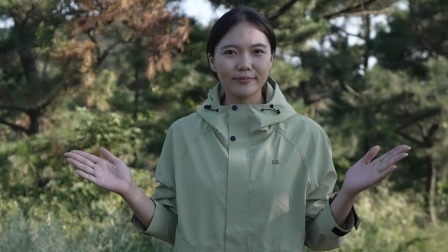 山东海岛故事 大黑山岛：美美与共