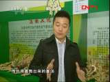 生财有道 《生财有道》 20111109 姜里淘金的老姜