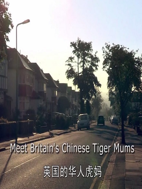 英国的华人虎妈妈 海报