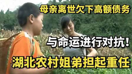 母亲离世欠下高额债务，湖北农村姐弟担起重任，与命运进行对抗！