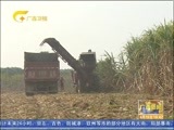 广西新闻 《广西新闻》 20160819