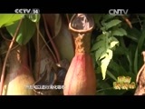新闻袋袋裤 《新闻袋袋裤》 20150629