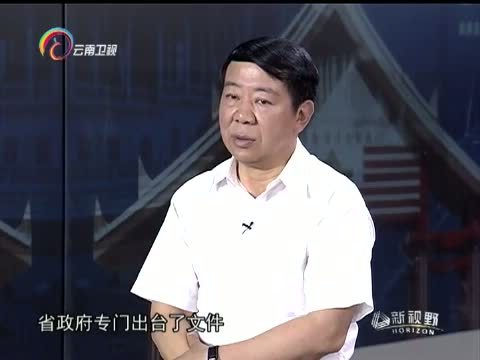 新视野 《新视野》 20150614 “南博会”系列访谈 一路向南——云企布局周边