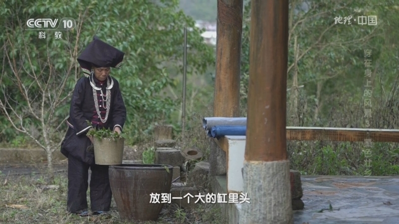 地理中国 《地理·中国》 20240208 穿在身上的风景3·墨色壮乡