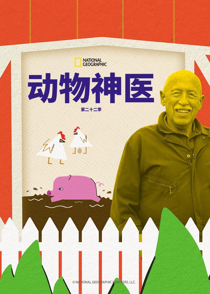 动物神医第二十二季
