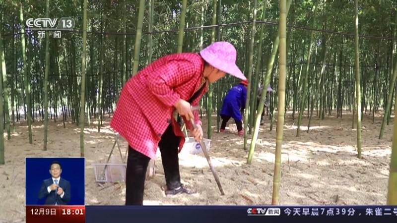 共同关注 《共同关注》 20231209