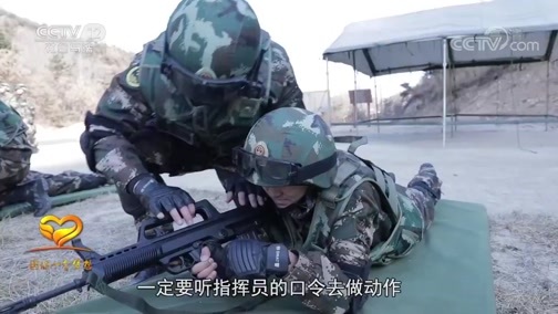 热线12 《热线12》 20200219 2020暖春行动 圆你一个梦想