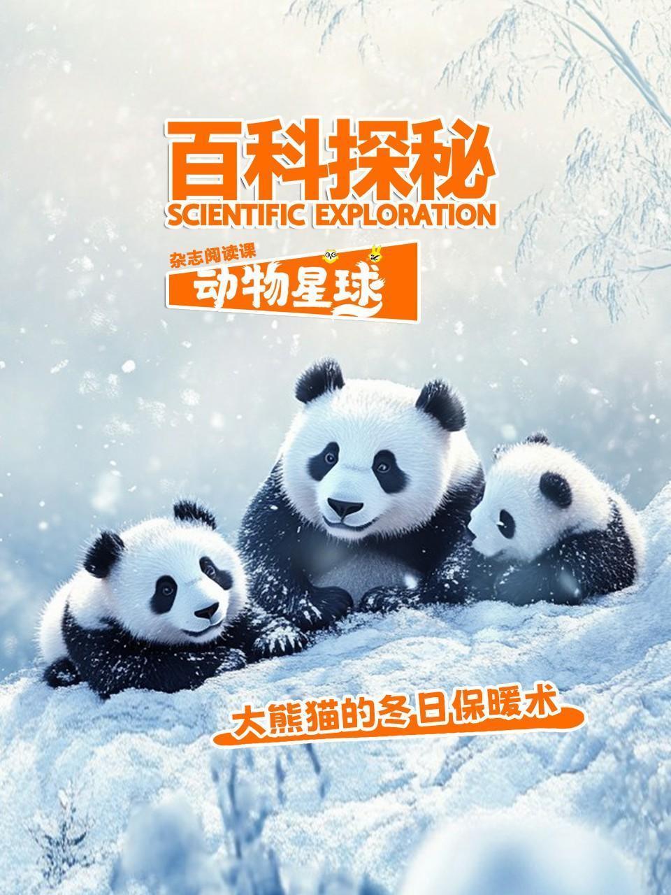 百科探秘动物星球：大熊猫的冬日保暖术