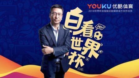 白看世界杯 白岩松：爱不爱足球 为何都该看世界杯？