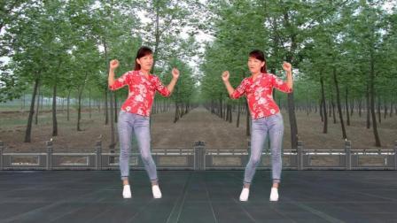 玫香广场舞《大美妞》对跳