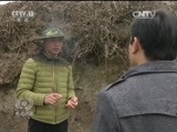 焦点访谈 《焦点访谈》 20170414 十九大代表这样选