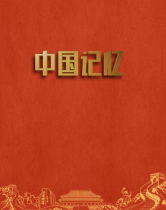 2017中国记忆 海报