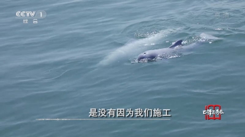 《瞬间中国》 20210503 温华