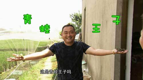 致富经 [致富经]“疯子”“傻子”养青蛙 千万财富顶呱呱 20190415