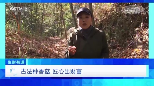 生财有道 《生财有道》 20191212 古法种香菇 匠心出财富