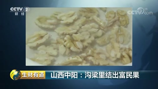生财有道 《生财有道》 20191018 咱们家乡有特产 山西中阳：沟梁里结出富民果