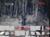 地理中国 《地理中国》 20120415 丛林恩仇录