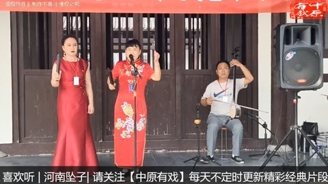 河南坠子《佘太君》胡银花