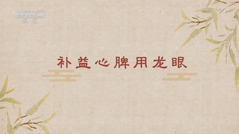 《百家讲坛》 20250511 舌尖上的养生（第二部） 7 补益心脾用龙眼