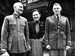 蒋介石与他的苏联顾问，北伐成败（下）