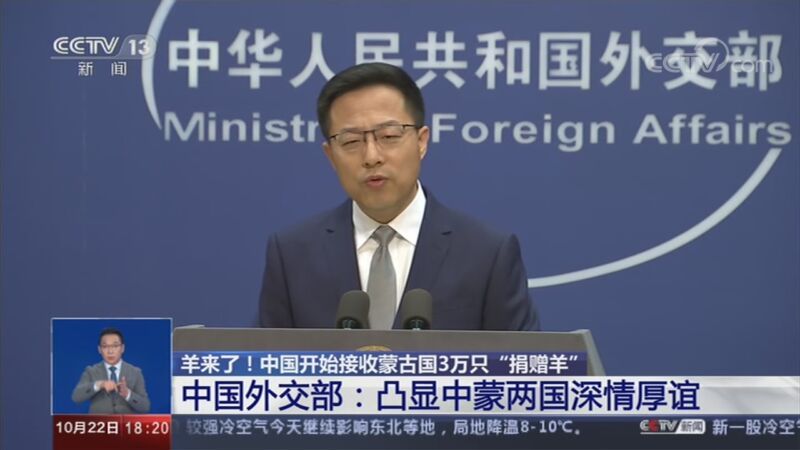 共同关注 《共同关注》 20201022