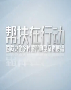 帮扶在行动