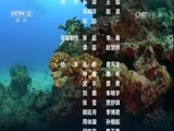 环球经济连线 《环球财经连线》 20161003