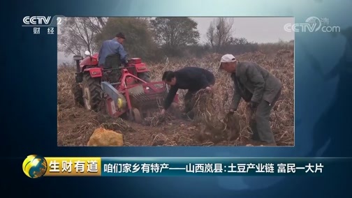 生财有道 《生财有道》 20181115 咱们家乡有特产——山西岚县：土豆产业链 富民一大片