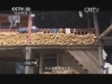 小区大事 《小区大事》 20140426 出走的妻子（下）