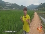 远方的家 《远方的家》 20150118 北纬30°·中国行（34） 大山深处的守望