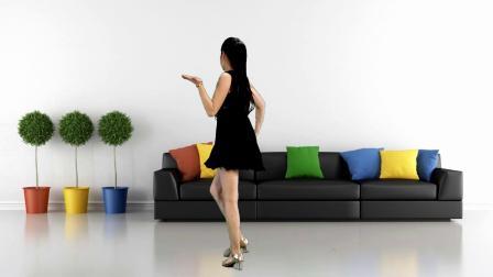 踩点舞，32广场舞《潮湿的心dj》背面演示