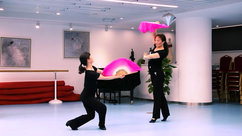 广场舞 秧歌广场舞《打开幸福门》