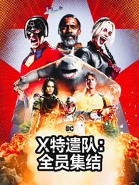 X特遣队：全员集结（普通话）