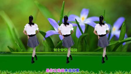 流行DJ广场舞及教学 第三季 广场舞《你能不能不要离开我》32步教学