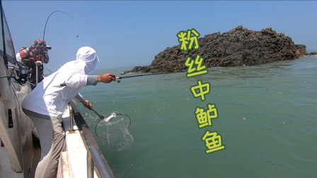 大潮水浑粉丝坚持要包船出海，阿杰只能尽力而为，总算没有空军