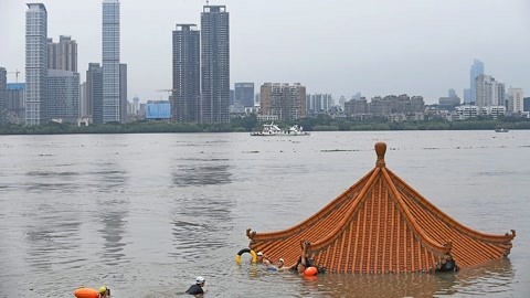 1818黄金眼 1818黄金眼20200729