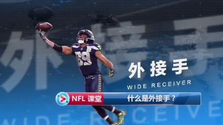 【NFL 课堂】什么是外接手？
