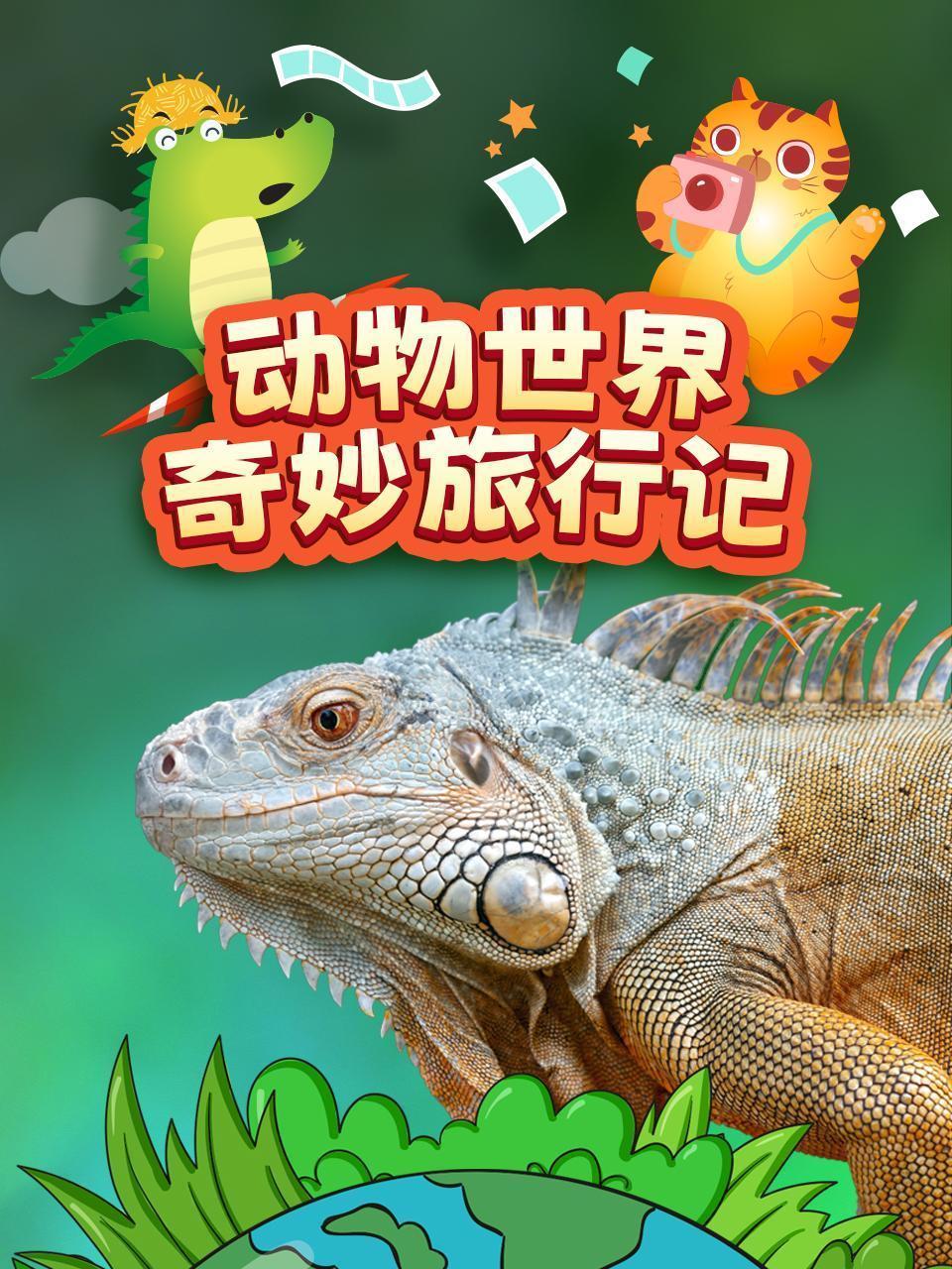 动物世界奇妙旅行记