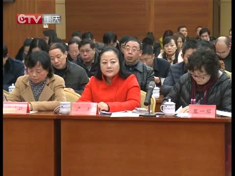 重庆新闻联播 《重庆新闻联播》 20141230