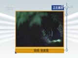 天网 《天网》 20170621 妈妈 快救我
