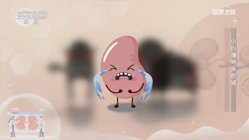《健康之路》 20260118 小心慢病来伤肾
