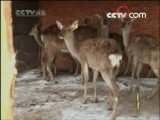 快乐体验 快乐体验 2008年 第67期