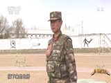谁是终极英雄 《谁是终极英雄》 20170507 神犬争雄（上集）
