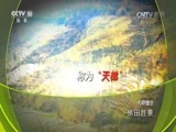 地理中国 《地理中国》 20160925 梯田胜景