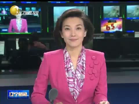 辽宁新闻 《辽宁新闻》 20141003