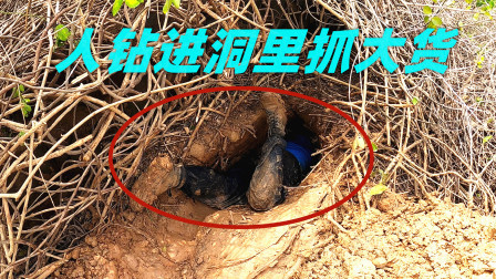 思乡渔夫赶海 花3小时挖开4米长巨洞，渔夫爬进洞内，掏出硬货太刺激